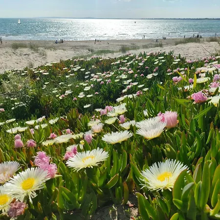 Appart Mer Et Riviere *