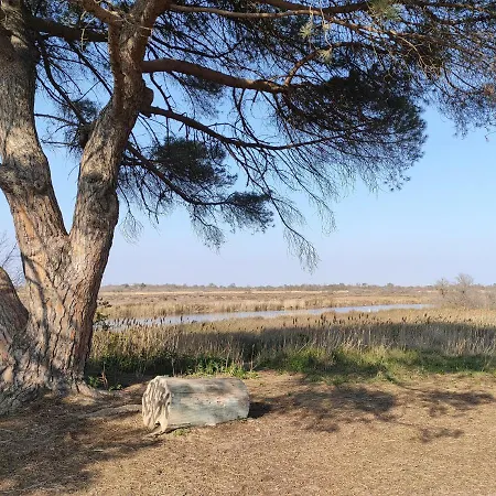 Lejlighed Appart Mer Et Riviere Agde